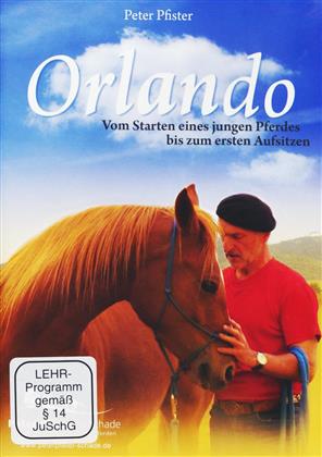 Orlando - Vom Starten eines jungen Pferdes bis zum ersten Aufsitzen