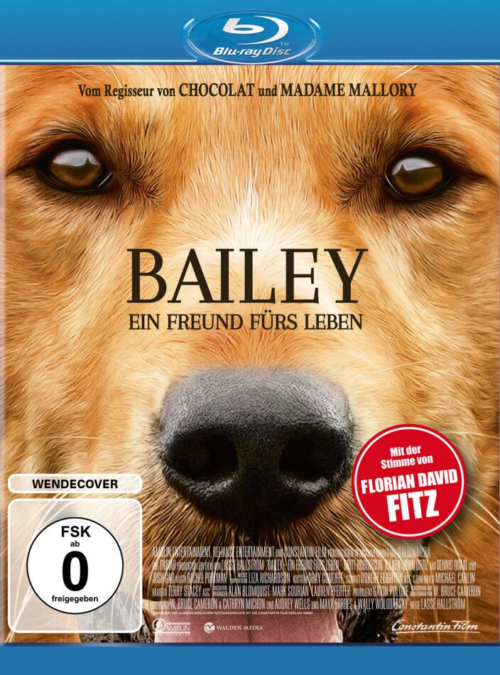 Bailey (2017)