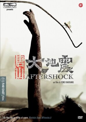 Aftershock (2010)