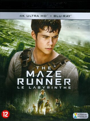 The Maze Runner - Le Labyrinthe (2014) (4K Ultra HD + Blu-ray)