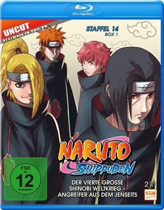 Naruto Shippuden - Staffel 14 Box 1 (Uncut, 2 Blu-ray)
