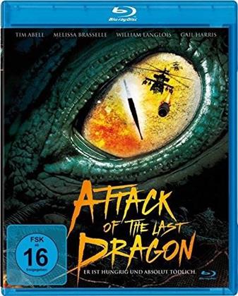 Attack of the last Dragon (2004)