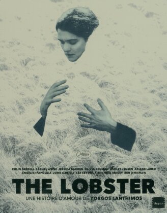 The Lobster (2015) (Limited Edition, Steelbook, Blu-ray + DVD)