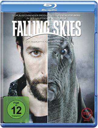 Falling Skies - Staffel 5 (2 Blu-rays)