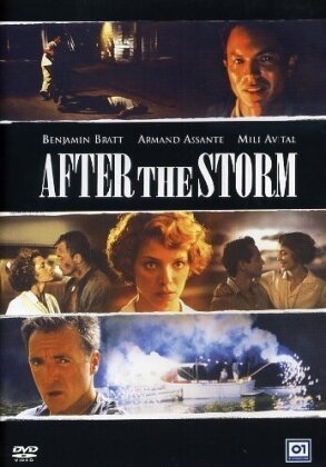 After the storm (2001)