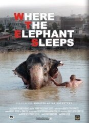Where the Elephant sleeps (2016)