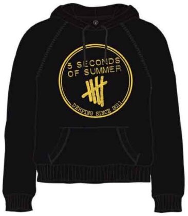 5 Seconds of Summer Unisex Pullover Hoodie - Derping Stamp