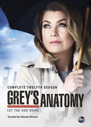 Grey's Anatomy - Season 12 (6 DVDs)
