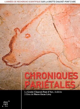 Chroniques pariétales - La grotte Chauvet-Pont d'Arc, Ardèche (2 DVDs)