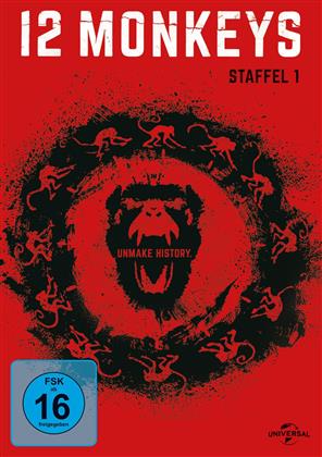 12 Monkeys - Staffel 1 (4 DVDs)