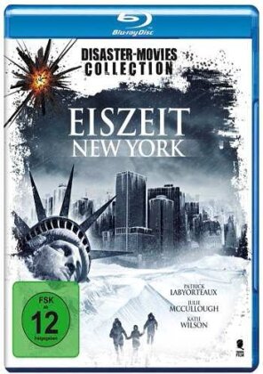Eiszeit New York (2011) (Disaster-Movies Collection)