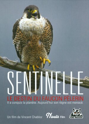 Sentinelle (Digibook)