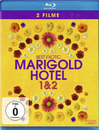 Best Exotic Marigold Hotel 1 & 2 (2 Blu-rays)