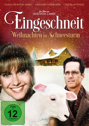 Eingeschneit - Weihnachten im Schneesturm (1994)