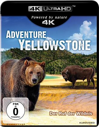 Adventure Yellowstone - Der Ruf der Wildnis