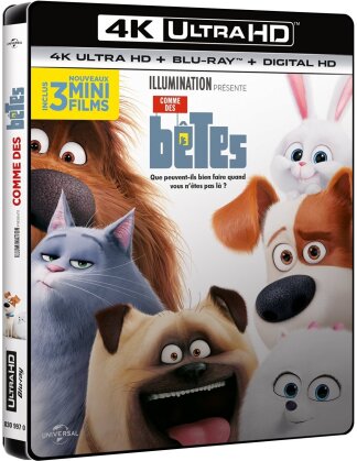 Comme des bêtes (2016) (4K Ultra HD + Blu-ray)