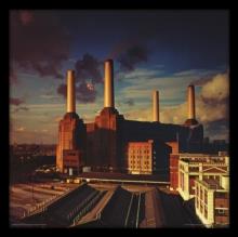 Pink Floyd - Animals (12" Album Cover Framed Print)