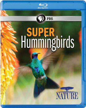 Nature - Super Hummingbirds