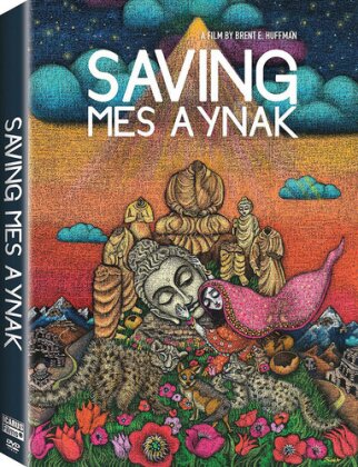 Saving Mex Aynak
