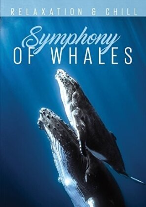 Symphony of Whales (Relaxation & Chill)