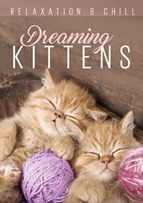 Dreaming Kittens (Relaxation & Chill)