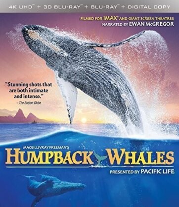 Humpback Whales (4K Mastered, Imax, 4K Ultra HD + Blu-ray 3D + Blu-ray)