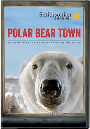 Polar Bear Town - Season 1 (2 DVDs)