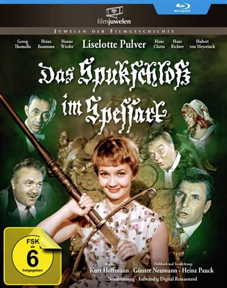 Das Spukschloss im Spessart (1960) (Filmjuwelen)