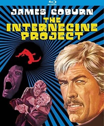 The Internecine Project (1974)