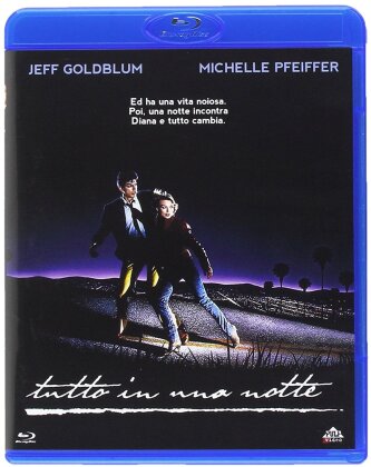 Tutto in una notte (1985)