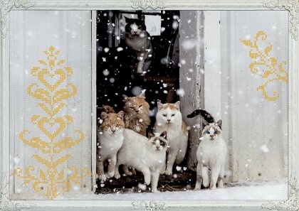 Wand-Adventskalender - Katzen-Winterträume