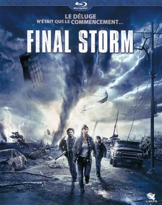 Final Storm (2010)