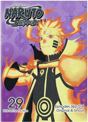 Naruto Shippuden - Set 29 (Uncut, 2 DVD)