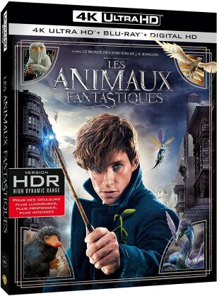 Les animaux fantastiques (2016) (4K Ultra HD + Blu-ray)
