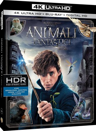 Animali fantastici e dove trovarli (2016) (4K Ultra HD + Blu-ray)