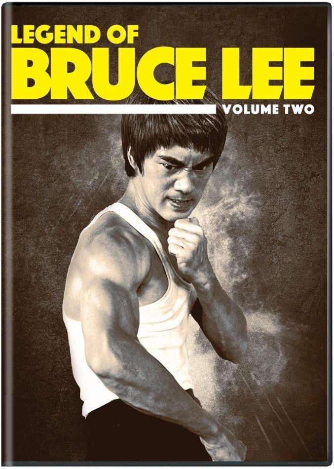 the legend of the bruce lee