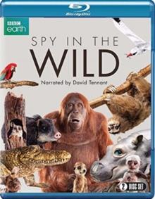 Spy in the Wild (BBC Earth, 2 Blu-rays)