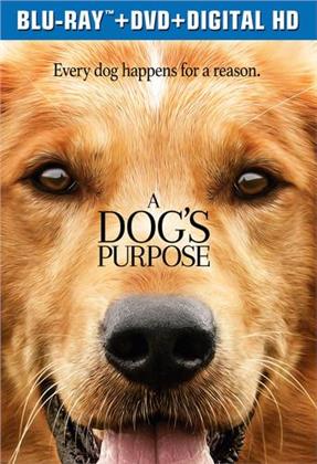 A Dog's Purpose (2017) (Blu-ray + DVD)