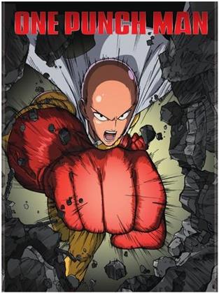 One Punch Man (2 DVDs)
