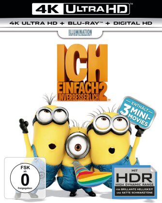 Ich - Einfach unverbesserlich 2 (2013) (4K Ultra HD + Blu-ray)