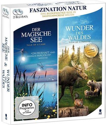 Der magische See / Wunder des Waldes (2 Blu-rays)