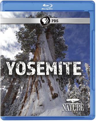 Nature - Yosemite