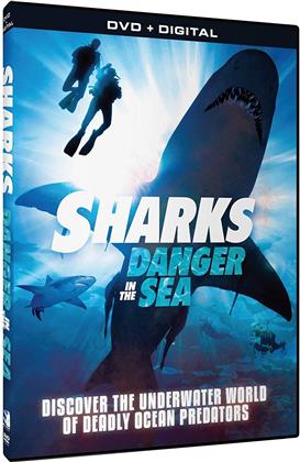 Sharks - Danger in the Sea