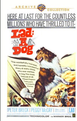Lad: A Dog (1964) (Warner Archive Collection)