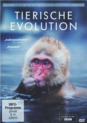 Tierische Evolution - David Attenborough (BBC)