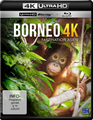 Borneo (4K Ultra HD + Blu-ray)