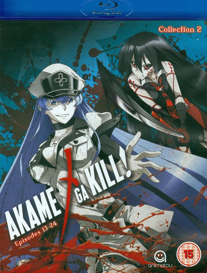 Akame Ga Kill 1 [Blu-ray]