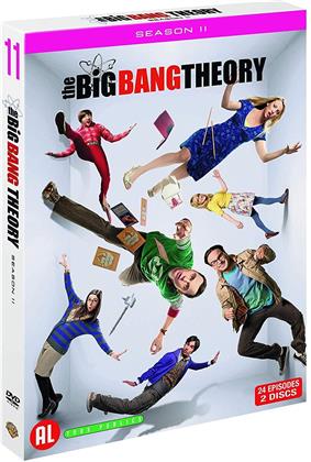The Big Bang Theory - Saison 11 (2 DVDs)