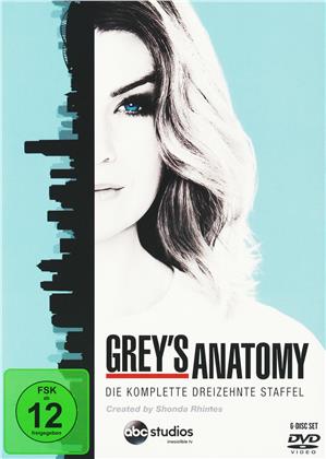 Grey’s Anatomy - Staffel 13 (6 DVD)