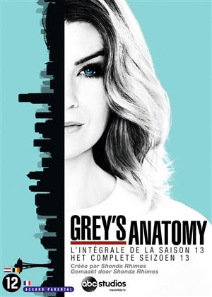 Grey's Anatomy - Saison 13 (6 DVDs)